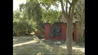 A porn parody loaded with bizarre sexual scenes – Candy Apples, Cheyenne, Julie, Mila, Randi Storm, Sweetie Pie, Tabitha Stevens