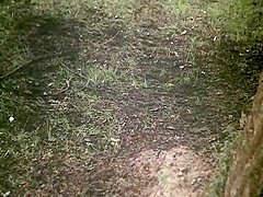 La storia di Lady Chatterley