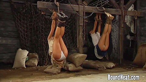 Watch Charming Amateurs